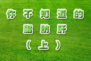 你不知道的脂肪肝（上）