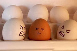 冰箱储藏的是与非（下）