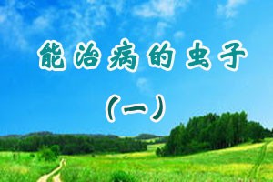 能治病的虫子（一）