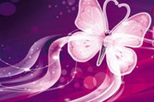 江南戏文传奇《蝴蝶梦》