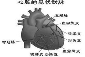 歧路的心脏（上）