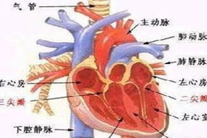 歧路的心脏（下）