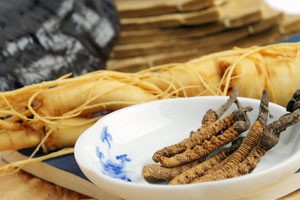 平民补品你用对了吗？（二）