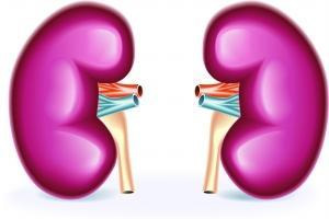 别把肾脏吃坏了