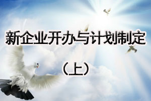 新企业开办与计划制定（上）