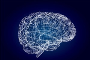 别把大脑吃坏了