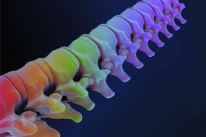 骨骼使用说明书（五）