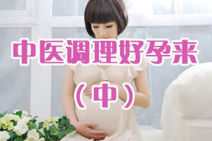 中医调理好孕来（中）