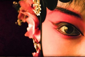 2014戏曲大事盘点（下）