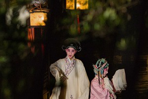 “牡丹花开”动京城惊梦