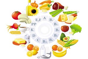 食品营养学绪论