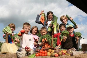 食品营养学人体能量的需要（下）