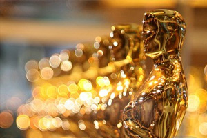 你不知道的奥斯卡