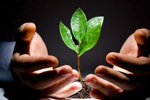 中关村创业大街后传（上）