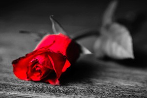 重金求子的“美艳”诱惑