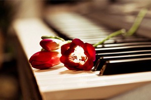 法官解案一场车祸两条命