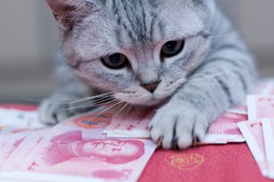 儿媳独占百万赔偿款