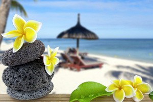 清明养生（下）