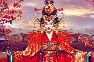 大唐贵妃 嫁入皇室