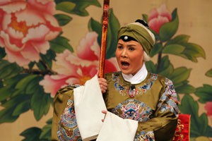 戏里戏外说历史·杨家将寻找佘太君