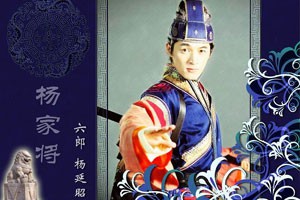 戏里戏外说历史·杨家将杨六郎历史档案