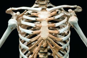 这个女孩肌肉变骨骼（上）