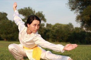 武术漫谈第五讲 中国武术的代表拳种形意拳