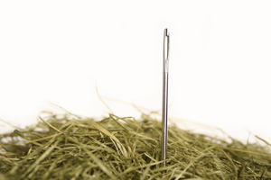 “一根针捅破天”创业的利剑