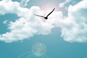 为艺术找到飞翔的翅膀