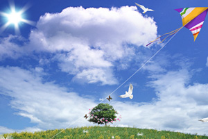 保护地友好，为梦想而战