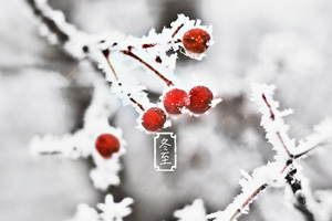 二十四节气冬至