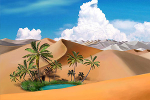 神奇的沙地绿洲