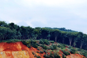 预报天气的土地