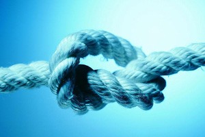 创业的二十二条军规第八篇：文化篇 企业价值观的体现（上）