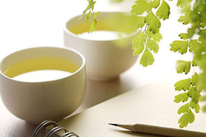 第十五集 养生秘要36句口诀（上）