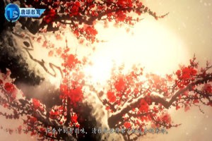 《梅花》崔道融