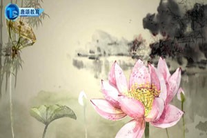 《水槛遣心》杜甫