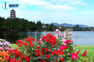 《钱塘湖春行》白居易