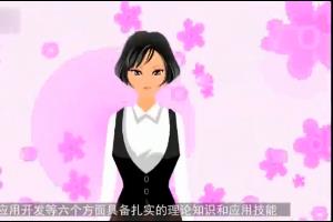 网络管理员的一天