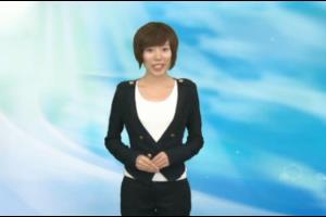 信息技术项目经理