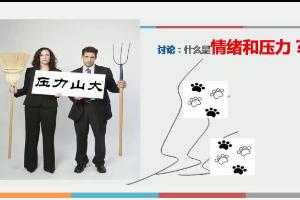 解读情绪与压力