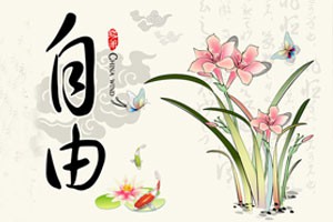 社会主义核心价值观讲坛自由