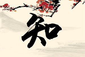 范奉存临摹“二王”五帖积雪凝寒帖龙保帖和鸭头丸帖