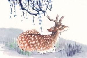 幻境中的鹿（二）