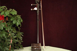 二胡D调音阶与音型模进练习（下）