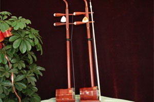 二胡喜唱丰收 讲解示范