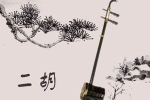 二胡秦腔主题随想曲 讲解示范（一）