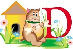 袋鼠的修炼（一）