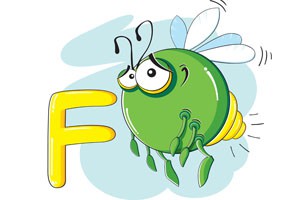 小丑鱼的兄弟情（二）