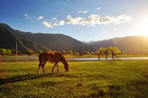 柴春芽：每一个人的故乡都在沦落